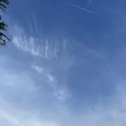 zztopの画像