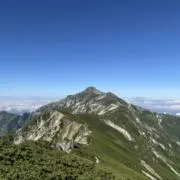 なぁちゃんの画像