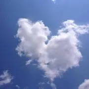 ゆずっぴの画像