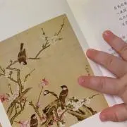 sgmmの画像