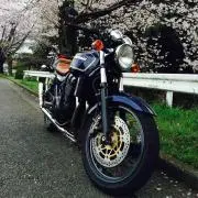 ポニョ