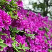 やっち　自己紹介必読