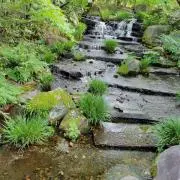 ★a.sの画像