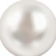 ねむの画像