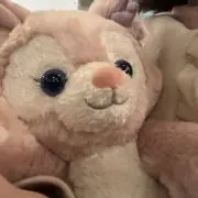 きなコーギー