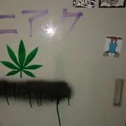 さのこー