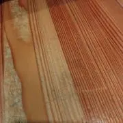 パル助の画像