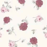 Rの画像