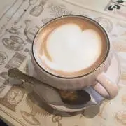 ぽんの画像