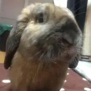 りっちん♡の画像