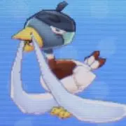 カゼカモ