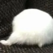 K(プロフィールの確認お願いします)
