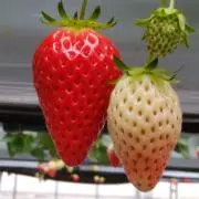 bluemoonの画像