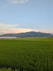 Mi kの画像