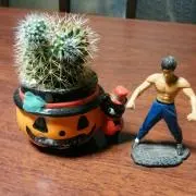 おこ