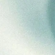 Tiku