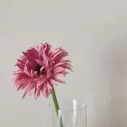 mrnの画像