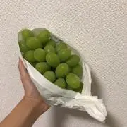 yuの画像