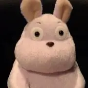 su