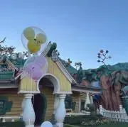 とりの画像