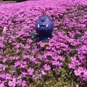 ともきゅー
