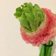 もずく ★プロフご確認ください★の画像