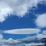 りんりんご