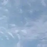 さささの画像