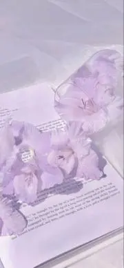 hの画像