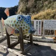 釣具整理のフグの画像