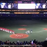 マーシーの画像