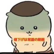 ミジンコの画像
