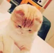 アン☆