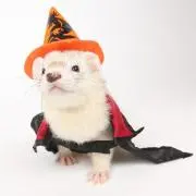 そうたん/即購入大歓迎プロフィール必読￼の画像