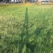 masya プロフ必読願います。の画像