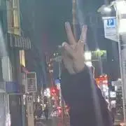 ねこちゃんの画像