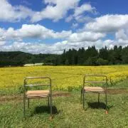 つぼこ★プロフ必読お願いします★の画像