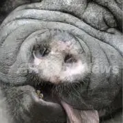 Hi.BAR