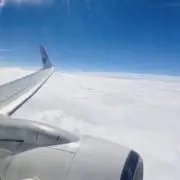 Riの画像