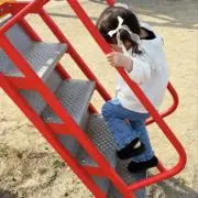 Iwaaの画像