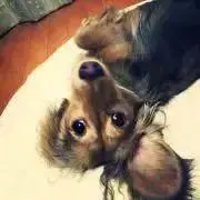 まろん☆の画像