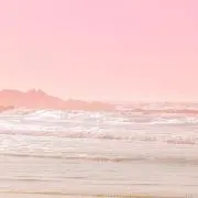 ももくん