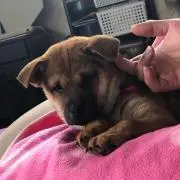 れみまま( ◠‿◠ )プロフ必見の画像