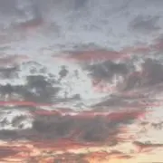 yuuの画像