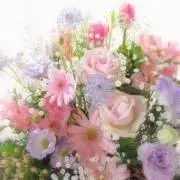 ネットのお助け雑貨&便利屋さんの画像