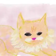 Konpekiの画像