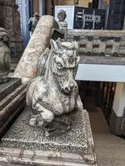 はるの画像