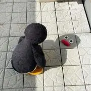 おもちの画像