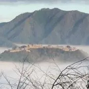 みっきぃの画像
