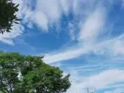 400Fの画像